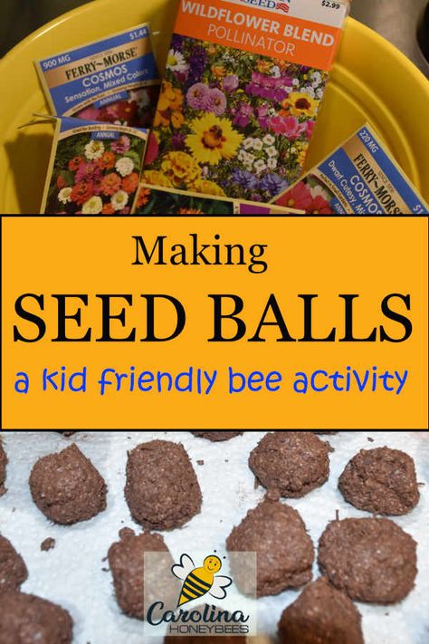 How to make wildflower seed balls for bees, #carolinahoneybees #seedballs #beefriendlygardens Imbolc Ideas, Palanca Ideas, Flowers For Bees, Fun Garden Projects, Bee Games, Bee Ideas, Bee Activities, Green Market, Seed Balls