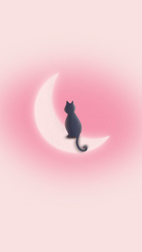 Pink Cat Wallpaper Iphone, Pink Cat Background, Pastel Pink Lockscreen, Cat Pink Aesthetic, Pink Cat Aesthetic, Pink Lockscreen Aesthetic, Black And Pink Aesthetic Wallpaper, Cute Cat Wallpaper Aesthetic, Cat Pink Wallpaper