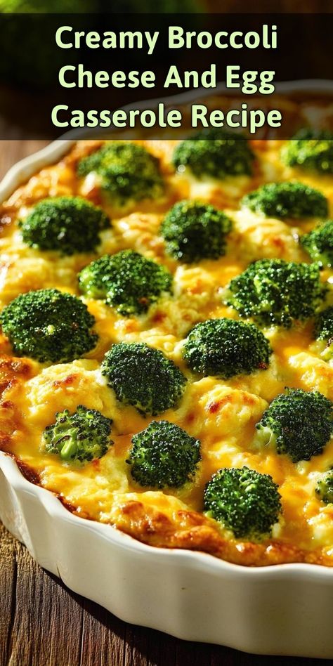 This Creamy Broccoli Cheese and Egg Casserole is the perfect blend of cheesy goodness and healthy broccoli! It’s super easy to make and a great addition to any brunch or weeknight dinner. Packed with flavor and creamy texture, it’s a dish that will have the whole family coming back for seconds! Egg Broccoli Cheese Casserole, Broccoli Egg Casserole, Gluten Free Egg Casserole, Cheese And Egg Casserole, Vegetarian Egg Casserole, Casserole For Breakfast, Delicious Broccoli, Healthy Broccoli, Spinach Artichoke Dip Recipe