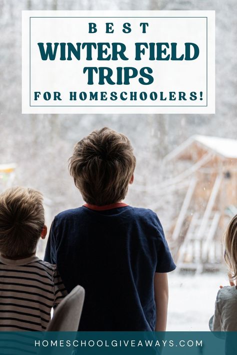 winter field trips for homeschoolers Winter Homeschool, Diy Homeschool, Field Trip Ideas, Homeschool Field Trips, Field Trips, Cabin Fever, Group Activities, Winter Fun, Trip Ideas