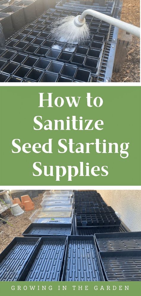 Indoor Hydroponics, Greenhouse Supplies, Starting Seeds, Bacterial Diseases, Indoor Greenhouse, Starting Seeds Indoors, Growing Seeds, Community Gardening, Growing Indoors