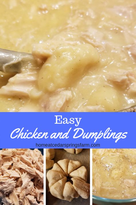 Biscuit Chicken And Dumplings, Quick Chicken And Dumplings, Easy Chicken Dumpling Recipes, Easy Chicken And Dumplings Recipe, Easy Chicken And Dumplings, Chicken Dumplings Recipe, Chicken And Dumplings Recipe, Homemade Chicken And Dumplings, Crockpot Chicken And Dumplings