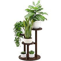 Indoor Bamboo Plant, Tiered Plant Stand Indoor, Hallway Garden, Tiered Plant Stand, Outdoor Plant Stand, Small Plant Stand, Corner Plant, Tall Plant Stands, Support Pour Plante