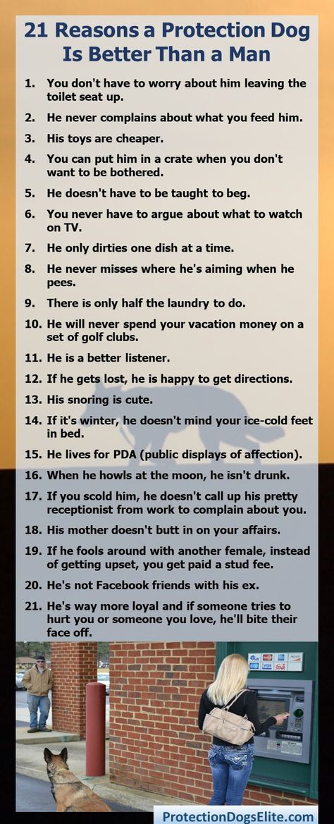 Here are 21 reasons why a protection dog is always better than a man. This is a very funny and yet often true list of reasons why dogs are better than men. #dogjokes #ilovedogs #dogsarebetterthanmen Healthy Inspiration, Dog Jokes, Great Gifts For Women, Cute Animals Images, Pet Loss, Very Funny, I Love Dogs, Dog Love, Funny Dogs