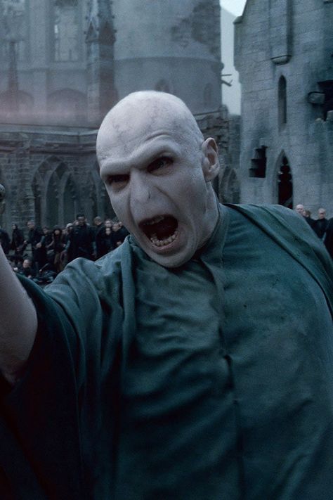 Harry Potter Goblet, Harry Potter Voldemort, Elder Wand, Harry Potter Draco Malfoy, Potter Facts, Bellatrix Lestrange, Ralph Fiennes, Origin Story, Slytherin Aesthetic