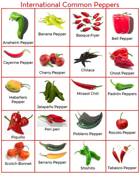 Cyanne Pepper, Chilli Tattoo, Farming Hacks, Pepper Scale, Cayenne Pepper Recipes, Shishito Pepper, Pepper Varieties, Hot Peppers Plants, Mexican Chilli