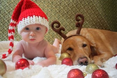 Christmas Diy Photoshoot, Photoshoot Baby Ideas, Diy Christmas Photoshoot Baby, Christmas Photoshoot Newborn, First Christmas Diy, Newborn Christmas Pictures, Diy Christmas Photoshoot, Newborn And Dog, Baby Holiday Photos