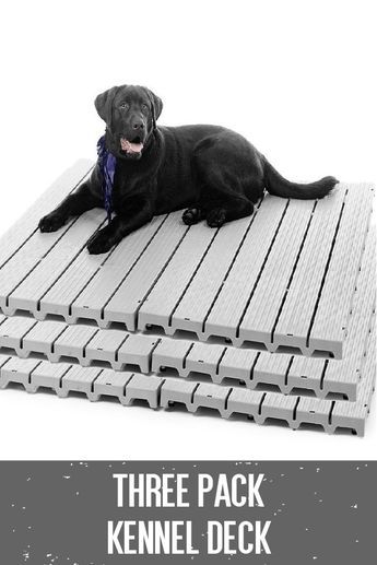 Dog Kennel Set Up Ideas, Kennel Decking, Dog House Ideas Indoor, Dog Yard Ideas Backyards, Dog Yard Ideas, Devotion Recipes, Dog Yards, Dog Kennel Mats, Collar Display