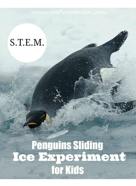 Slippery Penguins on Ice Experiment Penguin Experiments For Kids, Antarctica Lessons For Kids, Penguin Stem Activities, Antarctica Activities For Kids, Antartica Crafts For Kids, Winter Unit Study, Antarctica Activities, Penguin Unit, Antarctic Animals