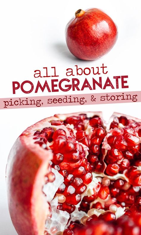 How To Store Pomegranate, Pomegranate Tree, Pomegranate Recipes, Food Scientist, Pomegranate Fruit, Vegetable Storage, Food Fruit, Food Group, Pomegranate Juice