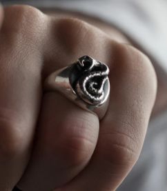 draco malfoy ring slitherin( sonserina) harry potter Draco Malfoy Rings Aesthetic, Draco Malfoy Signet Ring, Malfoy Signet Ring, Dracos Ring, Draco Malfoy Hands, Draco Malfoy Ring, Draco Ring, Slytherin Ring, Malfoy Family