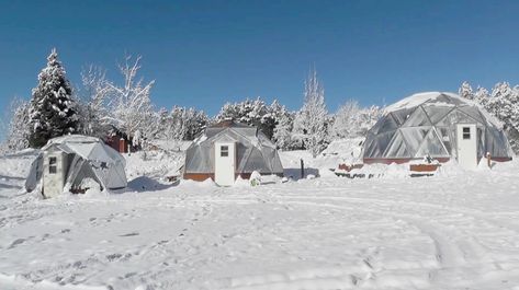 Geodesic Greenhouse, Above Ground Pond, Geodesic Dome Greenhouse, Dome Greenhouse, Canada Winter, Winter Greenhouse, Thermal Mass, Winter Gardening, Greenhouse Growing