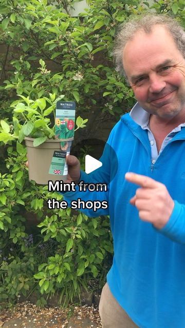 Simon Akeroyd on Instagram: "How to propagate mint from cuttings. Mint can also be divided to create extra plants. Just don’t plant mint directly in the ground, whatever you do! It spreads like crazy!  #growyourown #gardening #gardeninghack" How To Propagate Mint, Propagate Mint, Mint Garden, Mint Plants, Garden Hacks, Garden Food, Gardening Hacks, Diy Gardening, Outdoor Decorating