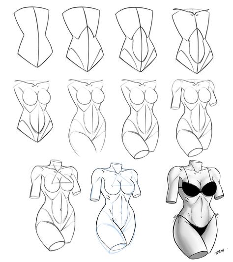 Drawing A Female Torso Step By Step Tutorial by robertmarzullo on DeviantArt Torso Step By Step, Draw Torso, Torso References, Human Body Reference, Basic Drawings, Woman Anatomy, Drawing Female Body, Anatomy Tutorial, Female Torso