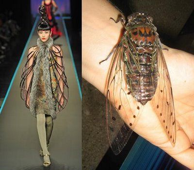 Nature Inspired Fashion, Insect Wings, Futuristic Fashion, Fashion Design Drawings, Fashion Inspiration Design, Fashion Design Sketches, Burgos, Paul Gaultier, Fantasy Fashion