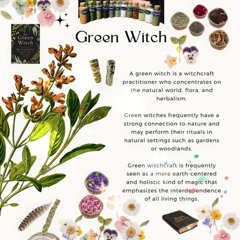 Kinds Of Witches, Witches Crafts, Different Types Of Witches, Witchcraft Grimoire, Spell Pages, Witch Ideas, Witch Apothecary, Types Of Witches, Witchy Garden