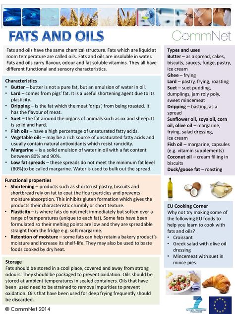 Fats & Oils Hospitality And Catering Gcse Revision, Culinary Notes, Study Layout, Opening Restaurant, Food Safety Posters, Microbiology Study, Culinary Lessons, Food Spoilage, Cooking In The Classroom