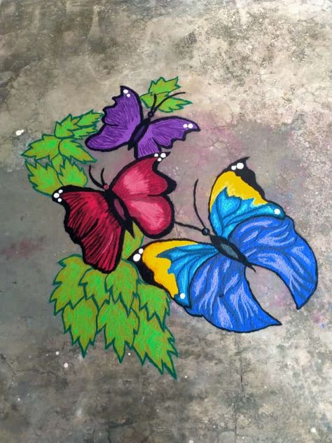 Butterfly Rangoli Design, Butterfly Rangoli, Rangoli Drawing, Art Rangoli, Colour Kolam, Colourful Butterflies, Creative Rangoli, Poster Rangoli, Small Kolam