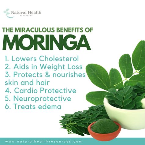 Health Benefits Of Moringa, Benefits Of Moringa, Moringa Powder, Moringa Oil, Super Foods, Lower Cholesterol, A Doctor, Health Remedies, Superfoods