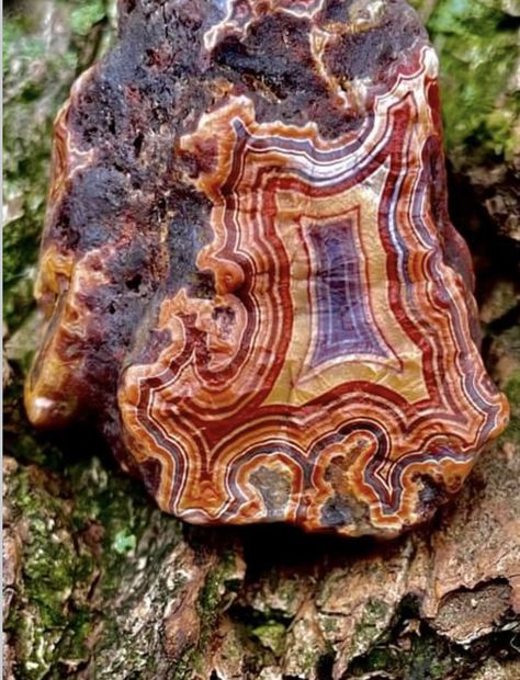 Fairburn agate, South Dakota, as found.  Collection of Steve Hammond. Dancing Turtle, Fairburn Agate, Metal Jewelry Handmade, Crystals Healing Properties, Pretty Rocks, Cool Rocks, Agate Geode, Rock Collection, Minerals And Gemstones