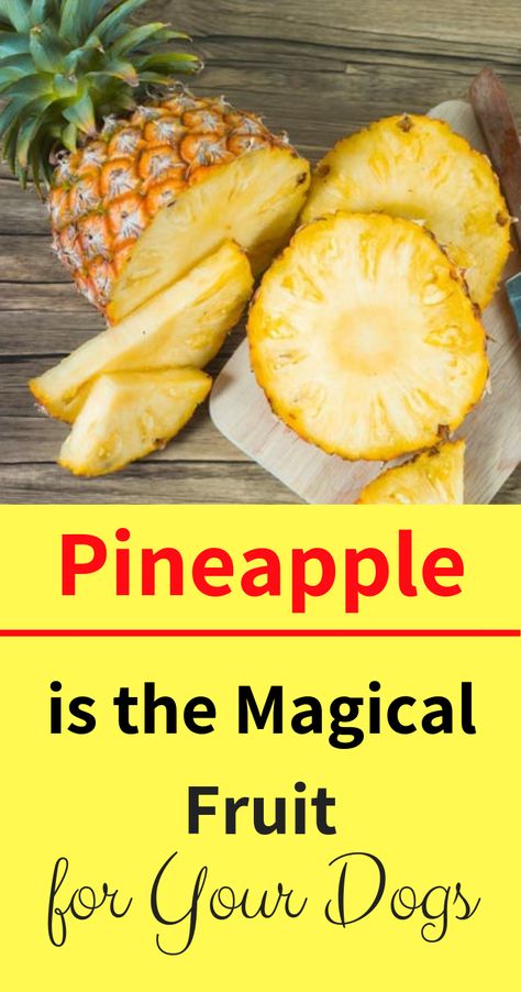 Can Dogs Eat Pineapple, Fruits Dogs Can Eat, Fruit For Dogs, What Can Dogs Eat, Fruit Dogs Can Eat, Food Dogs Cant Eat, Can Dogs Eat Watermelon, Can Dogs Eat Bananas, Magical Fruit