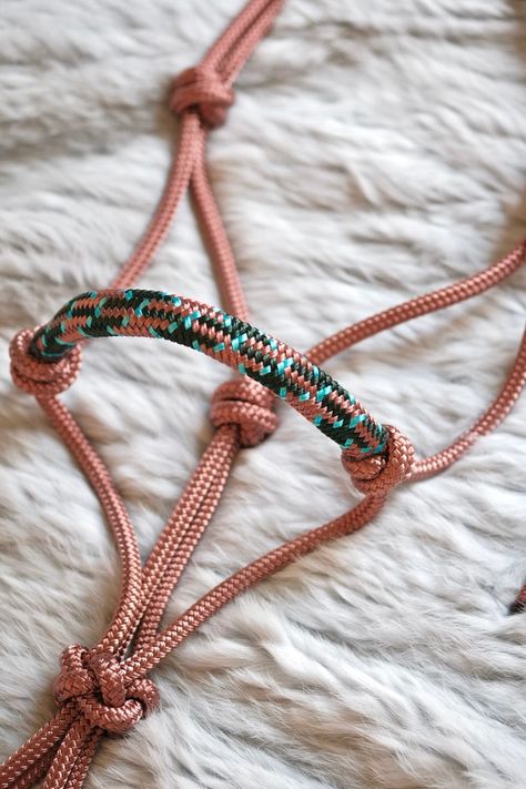 Halo Overlay Halter - "ROSE GOLD X KOOKABURRA" – Wild Rider Cool Horse Tack, Halters For Horses, Horse Things, Show Halters For Horses, Horse Stuff, Rose Gold Horse Tack, Western Tack Sets, Beaded Halters For Horses, Rope Halters For Horses