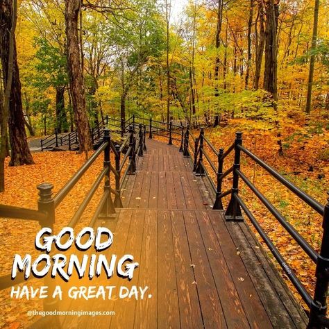 Good Morning Nature Awesome, Good Morning Amazing, Good Morning Fall Images, Aesthetic Good Morning, Good Morning Fall, Dhanteras Wishes, Happy Dhanteras Wishes, Fall Greetings, Good Morning Monday Images