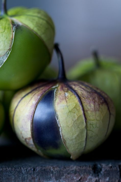 Exotic Fruit, Seed Pods, Jolie Photo, Fruit And Veg, Beautiful Food, Green And Black, Fruits And Veggies, Organic Gardening, Food Styling