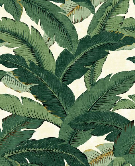 Foliage Print, Aloe Green, Palm Wallpaper, Beverly Hills Hotel, Tropical Wallpaper, Banana Leaves, Palm Fronds, Tropical Foliage, Peel Stick Wallpaper