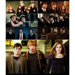 Harry Potter Life Quiz Long Results, Takers Movie, Life At Hogwarts, Harry Potter Life Quiz, Harry Potter Life, Hogwarts Life, Hogwarts Quiz, Lee Jordan, Harry Potter Ron Weasley