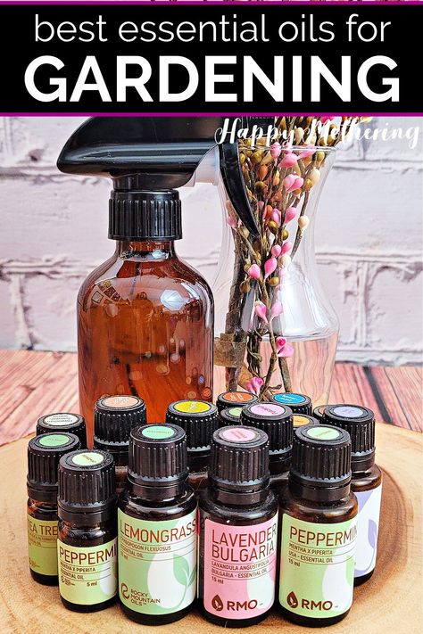 Best Essential Oils for Gardening Plus Recipes - Happy Mothering Diy Bug Repellent, Melaleuca Essential Oil, Essential Oil Mixtures, Oils Essential, Thyme Oil, Lavender Spray, Cinnamon Oil, Cinnamon Essential Oil, Plant Therapy