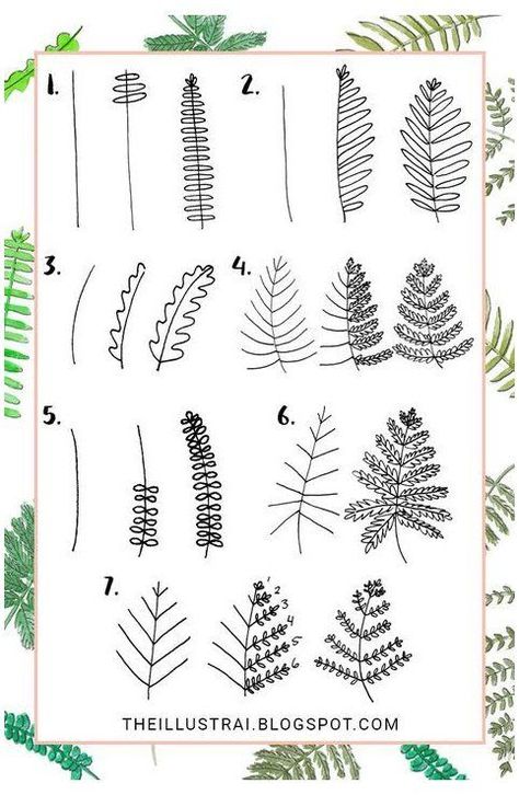 7 Ways to Draw Fern Leaves In this tutorial, I show you how to draw seven differ... -  7 Ways to Draw Fern Leaves In this tutorial, I show you how to draw seven different types of fern leaves Easy Flower Drawings, Country Outfit, Doodle Art Journals, Fern Leaves, Doodle Art Drawing, Leaf Drawing, Easy Doodle Art, Doodle Sketch, Bullet Journal Doodles