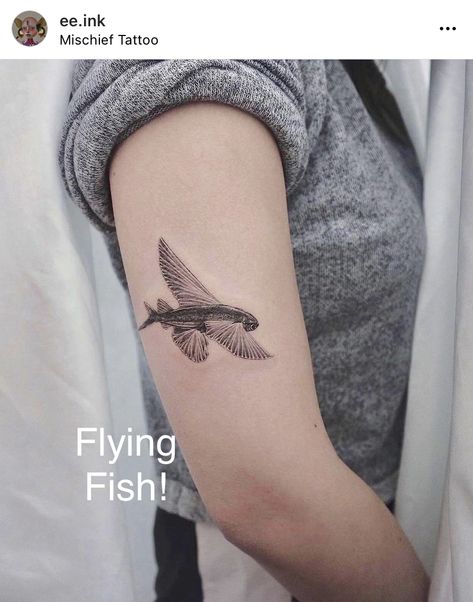 DO NOT REPOST WITHOUT ARTIST CREDIT - dont make it hard for us to find artists and for artists to get work! its like a reference / scientific textbook illustration of a flying fish someone help me find a name for this style @ee.ink at Mischief Tattoo #tattoo #tattooideas #tattooinsp #blackandwhitetattoo #blackandgreytattoo #realistictattoo #illustrationtattoo #animaltattoos #animaltattoo #fishtattoos #flyingfish #flyingfishtattoo #aquatictattoo #naturetattoo Angelfish Tattoo, Flying Fish Tattoo, Seaside Tattoo, Textbook Illustration, Fish Black And White, Aquatic Tattoo, Black And White Tattoo, Mermaid Tattoo Designs, Bluefin Tuna