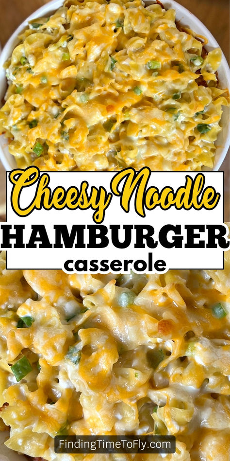 This creamy old-fashioned Hamburger Noodle Casserole is simply irresistible. This easy ground beef recipe is plain enough for picky eaters to enjoy, but has a depth of flavor that all palates can appreciate. Comfort food looks like this Easy Cheesy Hamburger Noodle Casserole! This ground beef casserole has egg noodles, meat sauce, cottage cheese, and shredded cheddar. Egg Noodles Ground Beef Recipes, Hamburger Noodle Recipes, Hamburger Noodle Casserole Recipes, Ground Beef Recipes Casserole, Ground Beef Noodle Casserole, Noodle Casseroles, Hamburger Noodle Casserole, Hamburger With Egg, Beef Noodle Casserole