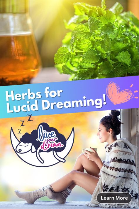 woman drinking herbal tea, herbal tea photo, sheep, lucid dreaming Lucid Dream Tea Recipe, Herbs For Lucid Dreaming, Best Herbs For Brain Health, Herbal Tea For Brain, How To Lucid Dream Easy, Dream Realm, Live And Learn, Dream Interpretation, Dream On