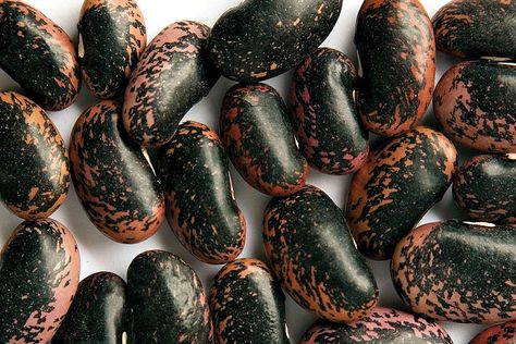 Scarlet Runner Beans with Garlic - Zursun Idaho Heirloom Beans Tongues Of Fire, Scarlet Runner Beans, Runners Food, Good Mother, Bean Varieties, Garlic Recipe, Runner Beans, Bean Pot, Bean Seeds