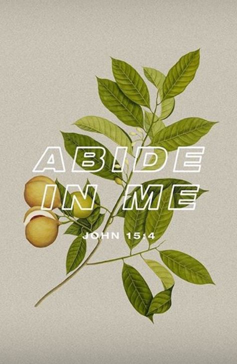 From instagram @youversion John 15 4, Abide In Christ, Born Again Christian, Purpose Driven Life, In His Presence, I John, Best Fruits, Bible Verse Wallpaper, God's Grace