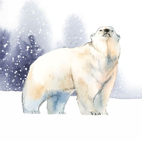 Forest Animals Illustration, Polar Bear Drawing, Snow Watercolor, Polar Bear Illustration, Polar Bear Art, Bear Watercolor, Bear Vector, Bear Paintings, Bear Drawing