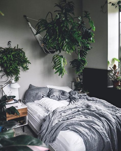 19 Stunning Plants That Will Make You Feel Things Design Ložnic, Ikea Interior, Plants Hanging, Minimalist Dekor, Dwell Magazine, Interior Design Minimalist, Grey Bedroom, Bedroom Plants, Bohemian Bedroom