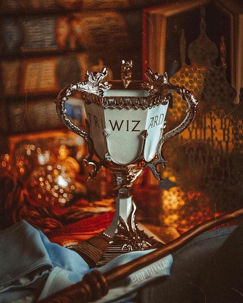 Harry Potter Triwizard Cup, Triwizard Cup, Noble Collection Harry Potter, Film Harry Potter, Gryffindor Aesthetic, Noble Collection, Harry Potter Food, Harry Potter Cosplay, Witchy Aesthetic