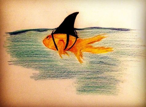 Goldfish With Shark Fin Tattoo, Cute Goldfish Drawing, Bravery Art, Goldfish Drawing, Shark Fin, 2023 Vision, Gold Fish, Goldfish, Drawing Ideas