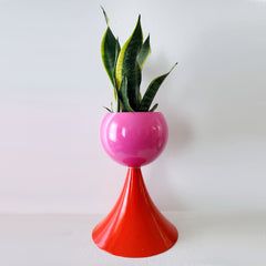 Colorful Planters, Vase Collection, Sazerac, Inspired Interiors, Wooden Vase, Plant Markers, Modern Glam, Modern Planters, Cleaning Agent