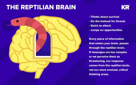 Don’t freak out, but I’m here to tell you you’ve got a reptilian brain. No, I’m not confirming any lizard-people conspiracies. I’m talking about the physiology of our brains. Lizard Brain, Brain Anatomy And Function, Reptilian Brain, Lizard People, Eye Twitching, Brain Anatomy, Menstrual Health, Healthy Ideas, Mind Body Soul