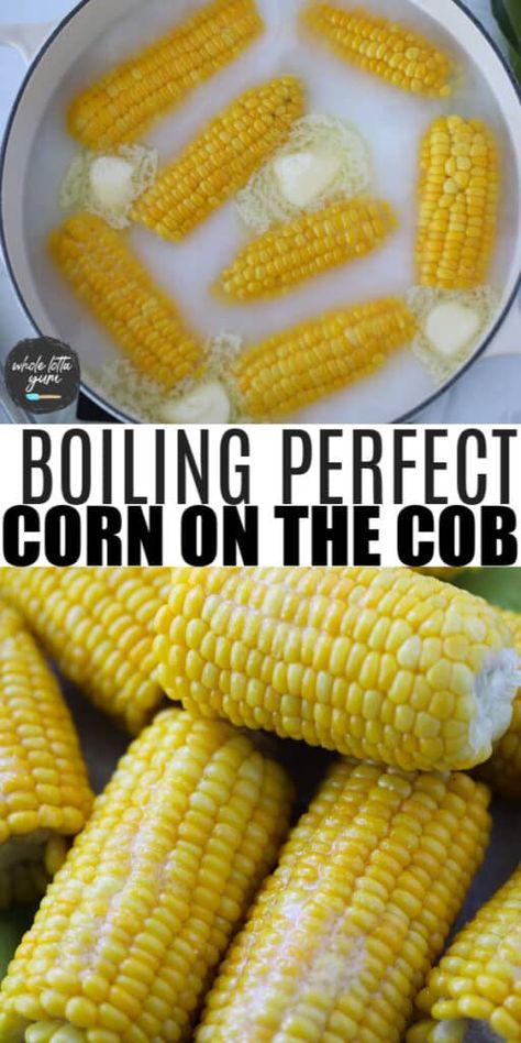 Boil Corn On Cob, Corn On The Cob Boiled, Corn On The Con, Boiled Corn On The Cob, Boiling Corn, Freezing Fresh Corn, Boil Sweet Corn, Cooking Sweet Corn, Corn Recipes Side Dishes