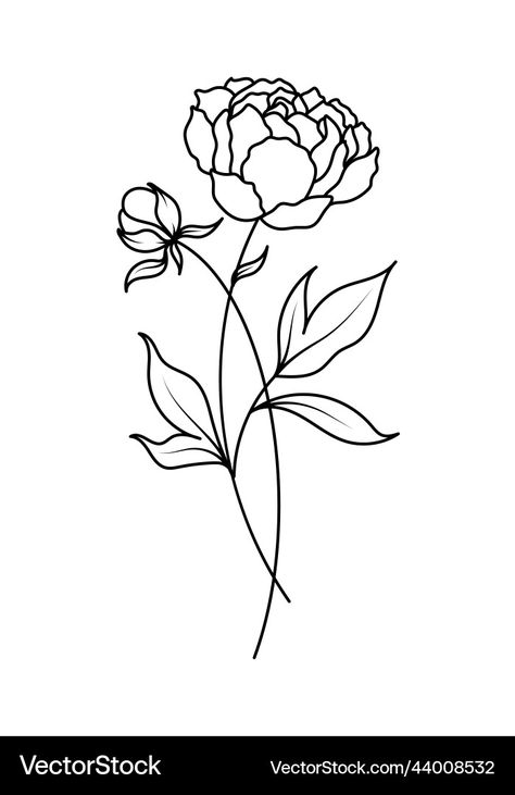 Simple Peony Drawing, Peony Illustration Simple, Simple Peony Tattoo, Peony Svg, November Flower, Peony Drawing, November Aesthetic, Peony Illustration, November Birth Flower