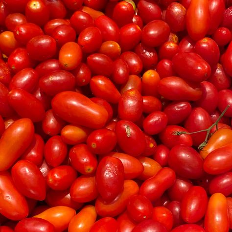 #aesthetic #instagram #nice #nature #sky #tomatoes #vegetables Tomato Aesthetic, Tomatoes, Quick Saves, Instagram, Nature