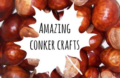 We love collecting conkers but have no idea what to do with them when we get home. Thanks to Maggy from Red Ted Art, here's a whole list of conker crafts. What To Do With Conkers, Things To Do With Conkers, Crafts With Conkers, Buckeye Crafts Ideas, Conker Craft Ideas, Conker Art, Conker Crafts, Conkers Craft, Chloe Art