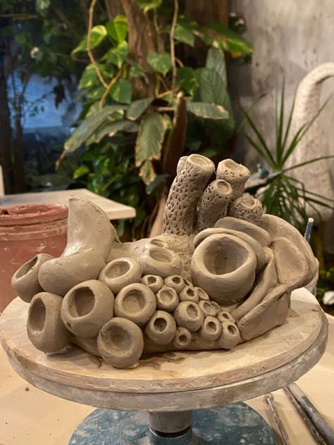 Clay Coral, Ceramic Coral, Panda Store, Coral Sculpture, Sea Drawing, Clay Fish, Ceramic Texture, Clay Wall Art, Tanah Liat