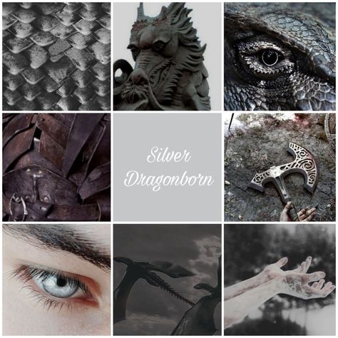 Dragonborn Aesthetic Dnd, Silver Dragon Aesthetic, Rogue Dnd Aesthetic, Silver Dragon Dnd, Dungeons And Dragons Rogue, Rogue Dnd, Fantasy Aesthetics, Broken Phone, Moodboard Inspo