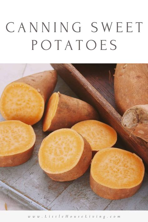 Need a way to preserve sweet potatoes, so you don't need a root cellar, and so they are ready to go for a meal? Here's how to start canning Sweet Potatoes!rn Parkinson Diet, Sweet Potato Benefits, Canning Sweet Potatoes, Immune Booster, Sweet Potatoes For Dogs, Cooking Sweet Potatoes, Most Nutritious Foods, Turmeric Benefits, Sweet Potato Recipes